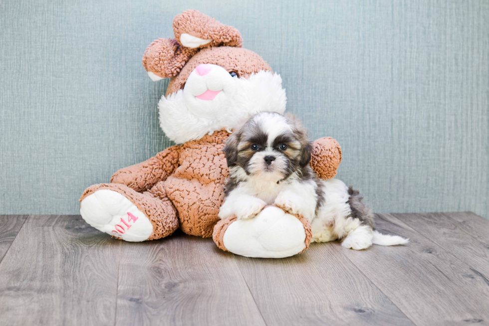 Friendly Teddy Bear Baby