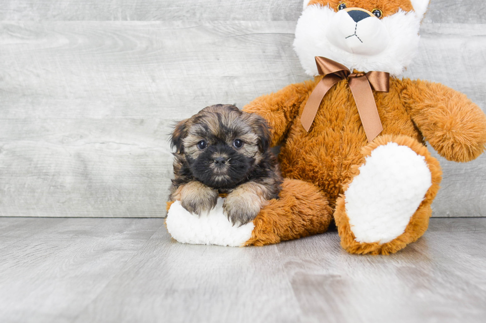 Happy Teddy Bear Baby