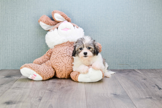 Friendly Teddy Bear Baby