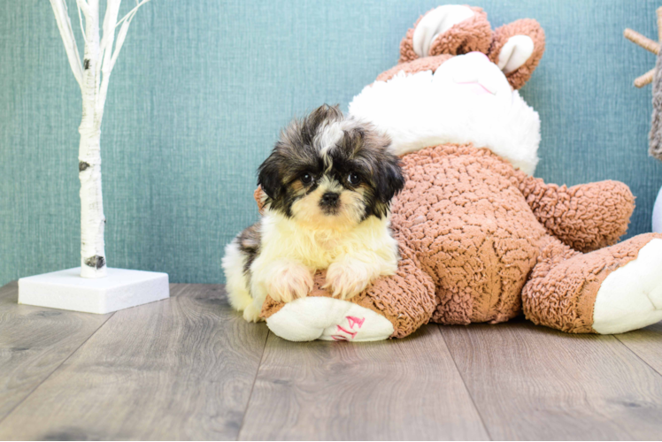 Best Teddy Bear Baby