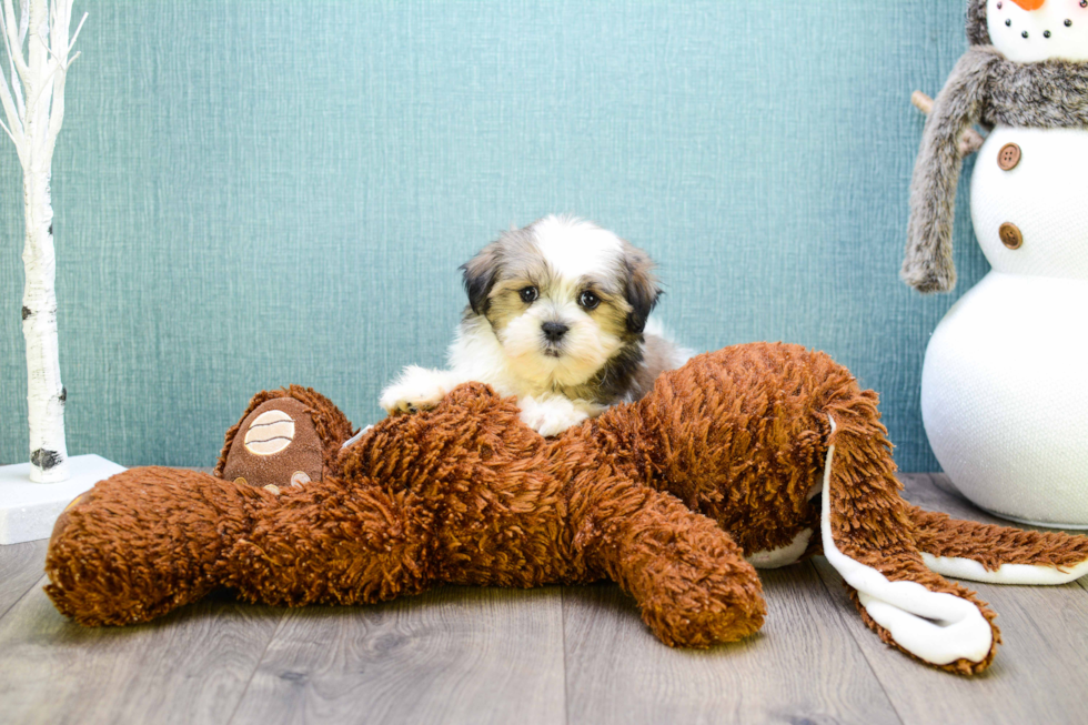 Sweet Teddy Bear Baby