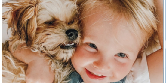 How Is Premier Pups Different from Other Online Puppy-Selling Businesses? 