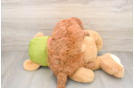 Mini Goldendoodle Pup Being Cute