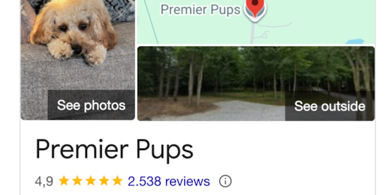 Premier Pups Reviews: Verified Adoption Stories 