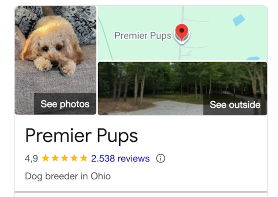 Premier Pups Reviews - Verified Adoption Stories From Customers 