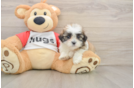 Best Teddy Bear Baby