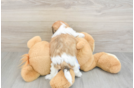 Funny Teddy Bear Designer Pup