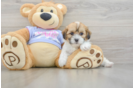 Best Teddy Bear Baby