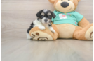 Best Teddy Bear Baby