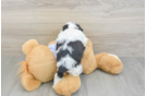 Best Teddy Bear Baby
