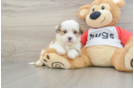 Friendly Teddy Bear Baby