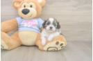 Friendly Teddy Bear Baby
