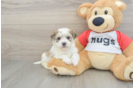 Happy Teddy Bear Baby