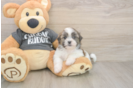 Friendly Teddy Bear Baby