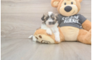 Best Teddy Bear Baby