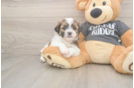 Happy Teddy Bear Baby