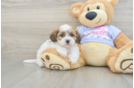 Best Teddy Bear Baby