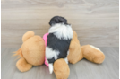 Best Teddy Bear Baby