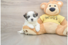 Small Teddy Bear Baby