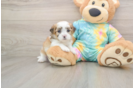 Sweet Teddy Bear Baby