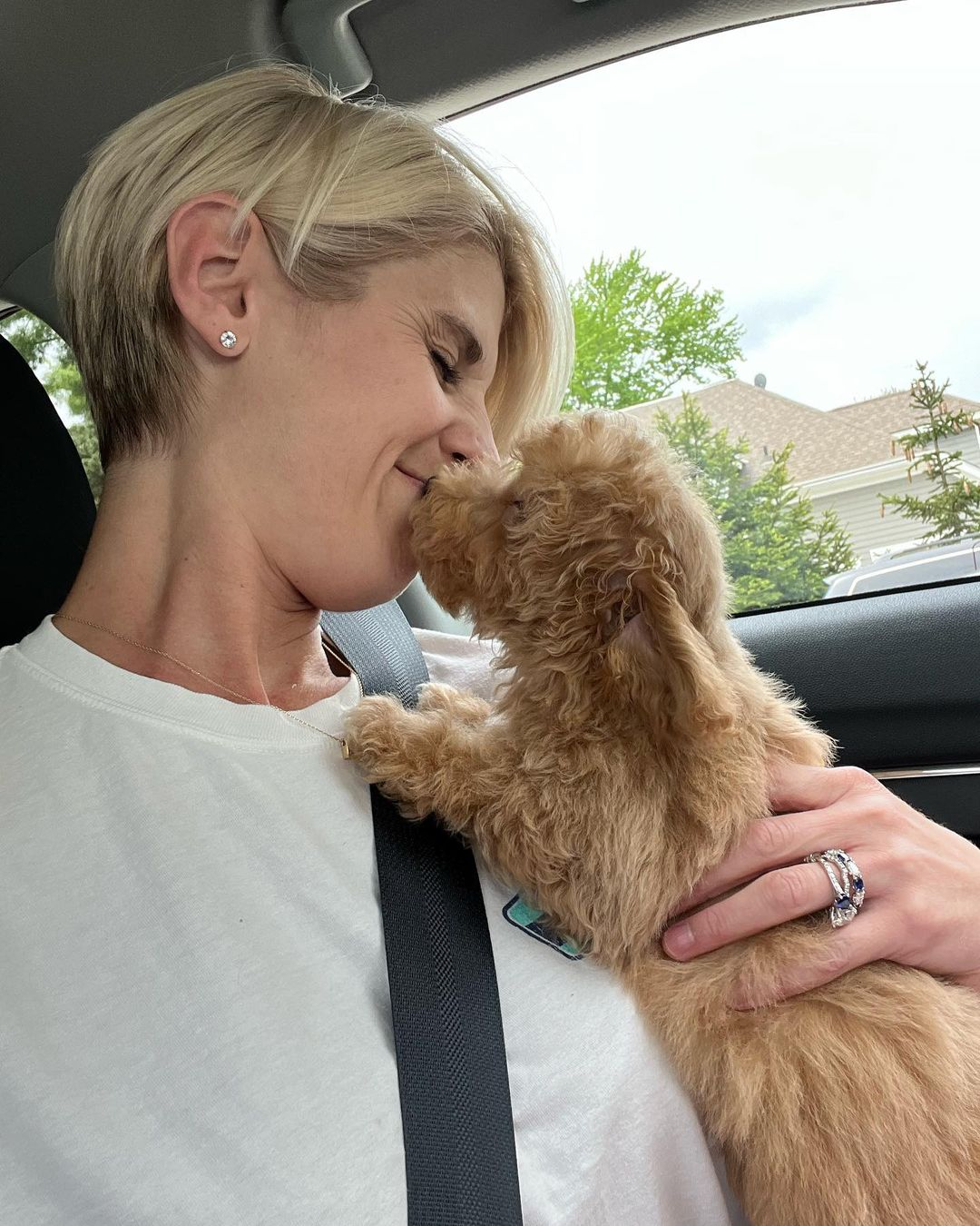 Find Available Poochon Puppies for Sale in Des Moines, Iowa