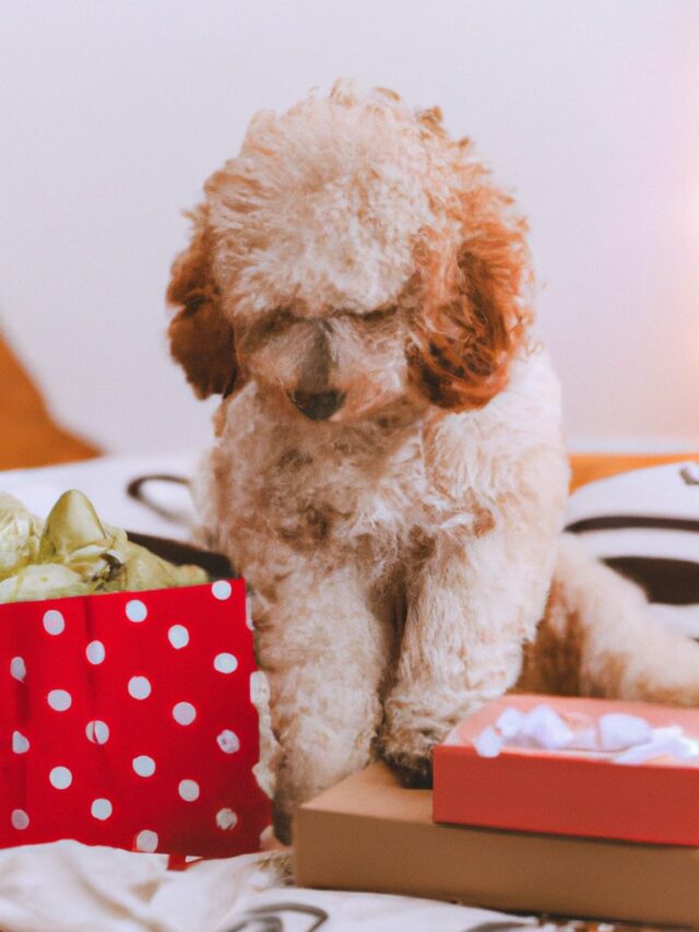 Puppy Great Gifts For Dog Lovers Dog Lovers Gifts For Puppies For